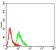 GRM2 Primary Antibody MP31339 [M4A10B9]