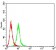 CD10 Primary Antibody MP31341 [M6G12E12]