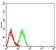 CD10 Primary Antibody MP31342 [M3G6B11]
