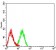 CD166 Primary Antibody MP31343 [M2F1B12]
