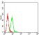 CD197 Primary Antibody MP31345 [M4B7B8]
