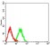 CD197 Primary Antibody MP31346 [M7A5A9]