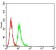 CD197 Primary Antibody MP31346 [M7A5A9]