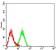 CD104 Primary Antibody MP31348  [M1D6B4]
