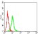 CD104 Primary Antibody MP31348  [M1D6B4]