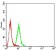 P2RY12 Primary Antibody MP31350 [M1C2A9]