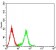 CD129 Primary Antibody MP31351[M1C2A6]