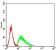 CD137 Primary Antibody MP31353 [M4G10B9]