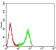 PLXNA1 Primary Antibody MP31354 [M8A10A6]