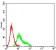 CD209 Primary Antibody MP31356 [M5C2A6]