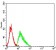 CD209 Primary Antibody MP31357 [M5C2G9]