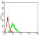 CD183 Primary Antibody MP31358 [M5C10E6]