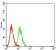 CD112 Primary Antibody MP31364  [M4A11B12]