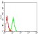 OX40 Primary Antibody MP31366 [M2D1B8]