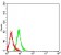KIR3DL1 Primary Antibody MP31372 [M6D9A4]