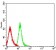 VISTA Primary Antibody MP31375 [M6E4H3]