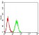 CD172A Primary Antibody  MP31376 [M2H7E2]