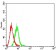 CD154 Primary Antibody MP31381 [M8H10F5]