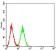 CD154 Primary Antibody MP31382 [M5A3A9]