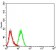 CD114 Primary Antibody MP31388 [M3G10G2]