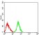 CD122 Primary Antibody MP31392 [M1G11C6]