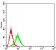 CD122 Primary Antibody MP31393 [M1G11H3]
