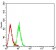 BAG1 Primary Antibody MP31399 [M1E4B5]