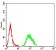 BTN2A2 Primary Antibody MP31401 [M6C7D2]