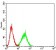 CD1C Primary Antibody MP31403 [M3G1B3]