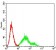 CD1C Primary Antibody MP31404 [M2A7C11]