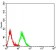 CD140a Primary Antibody MP31405 [M1A10A8]