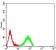 CD140a Primary Antibody MP31406 [M5B11G5]