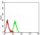 CD227 Primary Antibody MP31407 [M3B10B4]