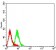 CD3G Primary Antibody MP31408 [M5B7F9]