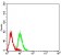 CD3G Primary Antibody MP31409 [M5B7B2]