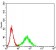 CD129 Primary Antibody MP31412 [M4A11H2]