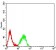 CD161 Primary Antibody MP31415 [M4C6A11]