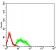 GRM8 Primary Antibody MP31416  [M4C1C1]