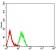 CD319 Primary Antibody MP31417 [M5G5A4]