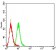 PD1 Primary Antibody  MP31421 [M1D6F6]