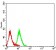CD305 Primary Antibody MP31422 [M1G8B6]
