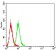 CD66A Primary Antibody MP31433 [M7B9G3]