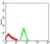 CD66A Primary Antibody  MP31434 [M4F3B2]