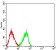 CD3D Primary Antibody MP31437 [M1F6A8]