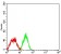 CD49B Primary Antibody MP31439  [M5E3A8]