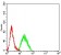 CHRNB3 Primary Antibody MP31447 [M7C9F12]