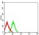CD64 Primary Antibody MP31458 [M5F5F8]