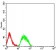 CHRNE Primary Antibody MP31461 [M5F11G8]