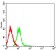 CD54 Primary Antibody MP31462 [M3A5G12]