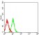 BTLA Primary Antibody MP31464 [M4B12A7]